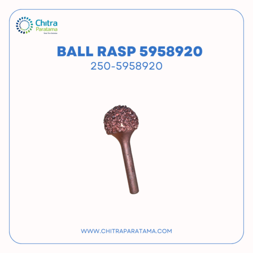 Ball RASP 5958920